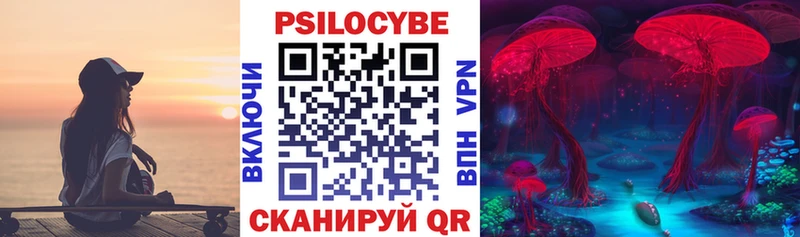 mega рабочий сайт  цена   Ивдель  Псилоцибиновые грибы мухоморы 