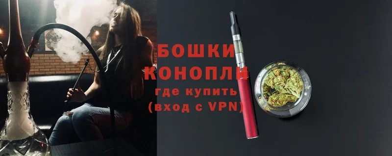 Конопля OG Kush  дарнет шоп  Ивдель 